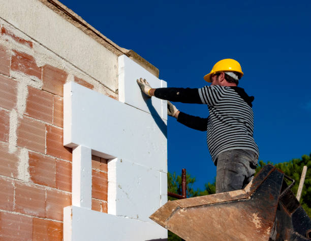 Best Insulation Installation Services in Freer, TX