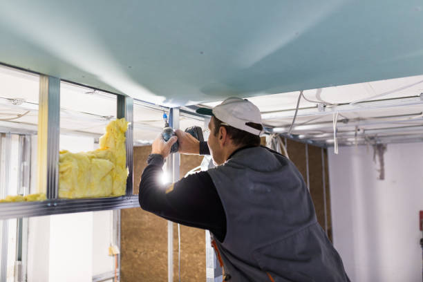 Best Residential Insulation in Freer, TX