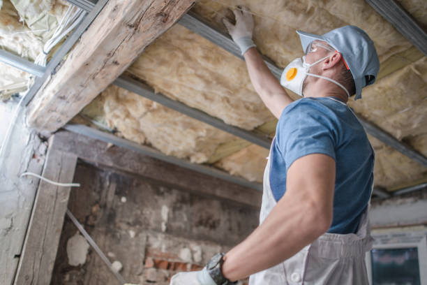  Freer, TX Insulation Contractor Pros