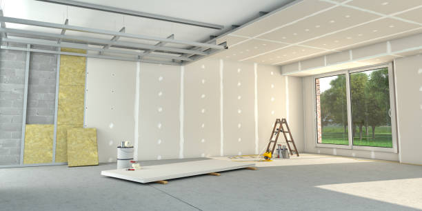 Best Insulation Maintenance and Repair in Freer, TX