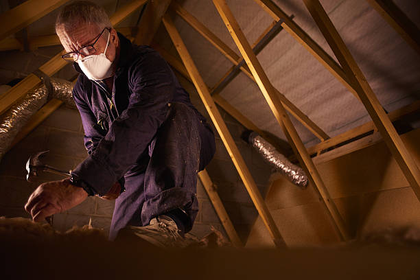 Best Insulation for Specific Applications in Freer, TX